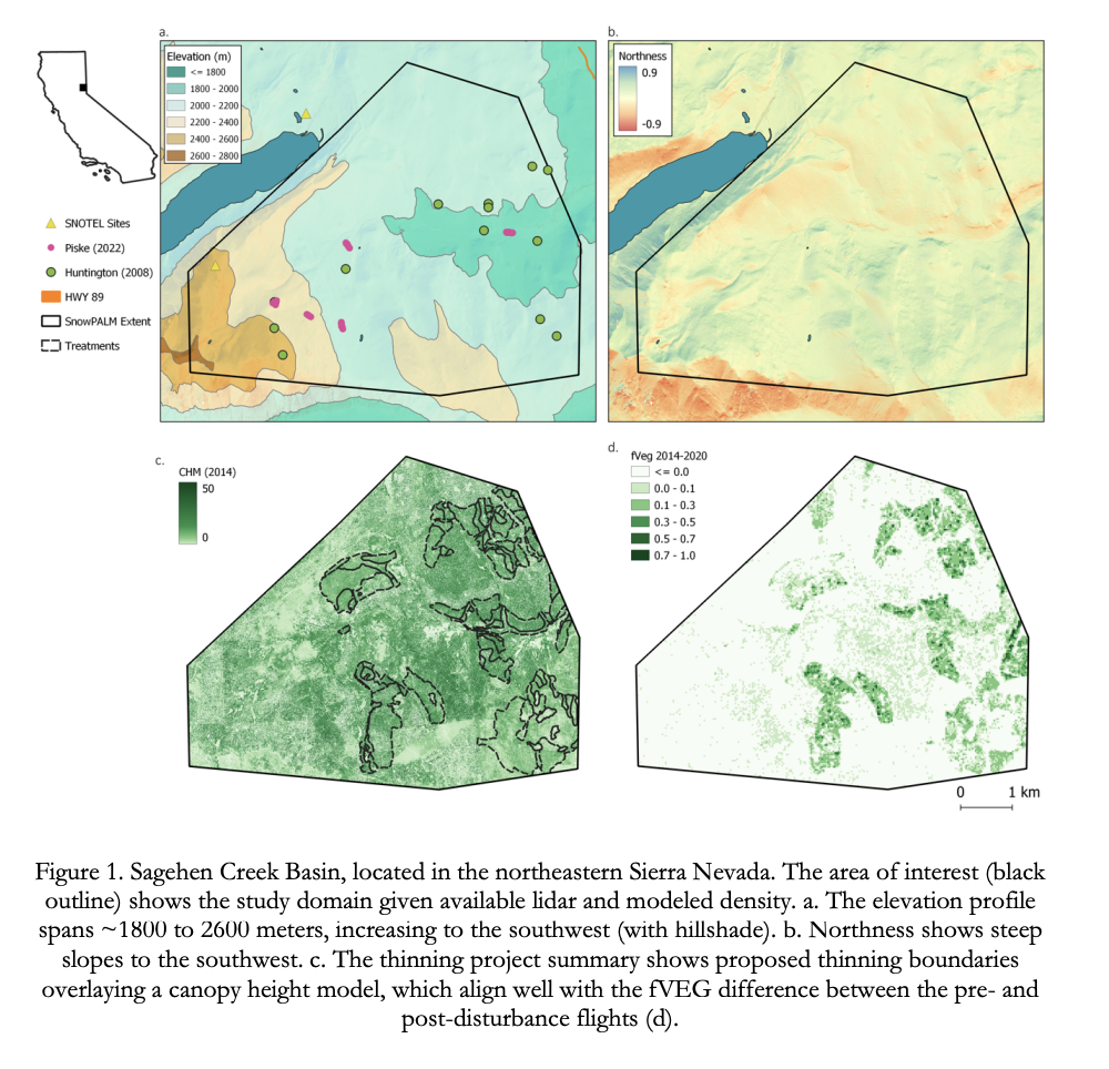 Sierra Nevada's Snowpack: Forest Structure's Crucial Role in Water Resource Dynamics
