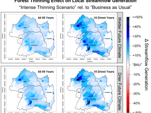 Sierra Nevada's Forest Thinning: A Sustainable Solution for Fire Mitigation and Water Resource Enhancement