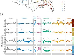 Understanding Solute Export in Minimally Disturbed Catchments Across the USA