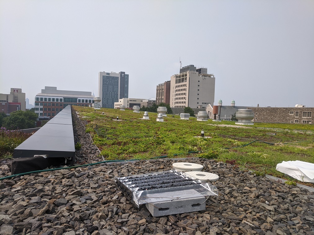 Urban Cluster photo