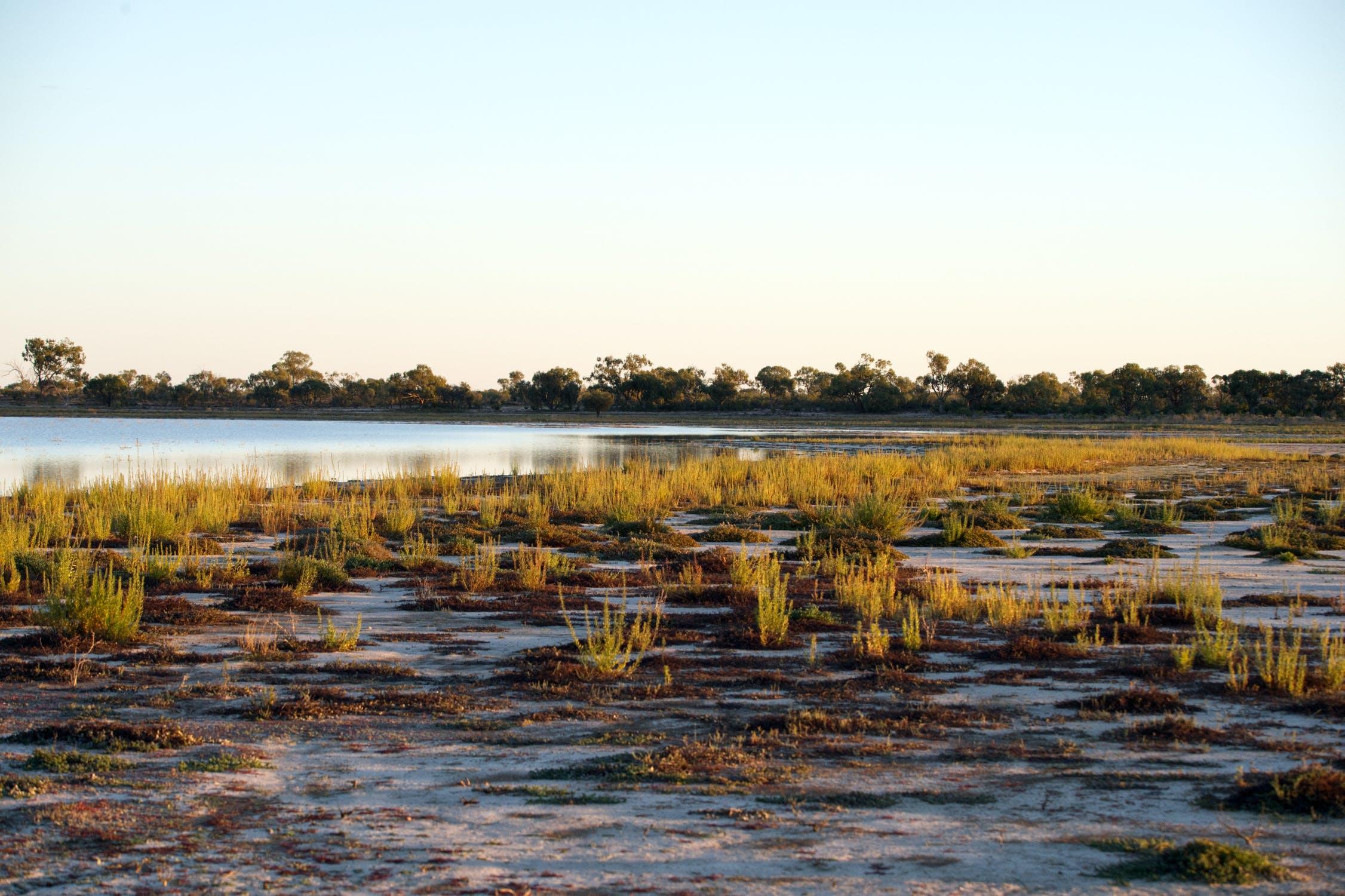 Funding Available for Critical Zone Synthesis Project