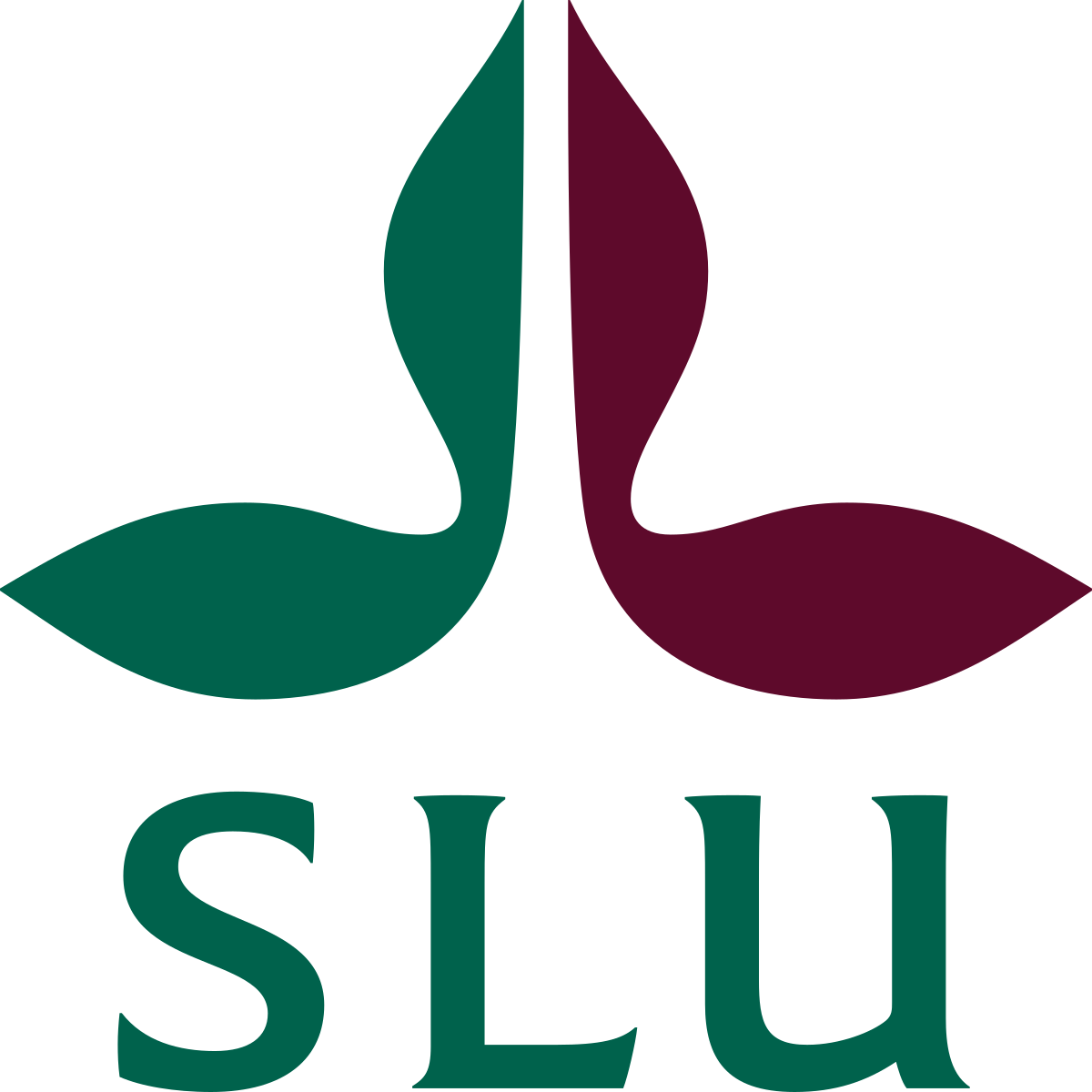 PhD Student in Environmental Assessment