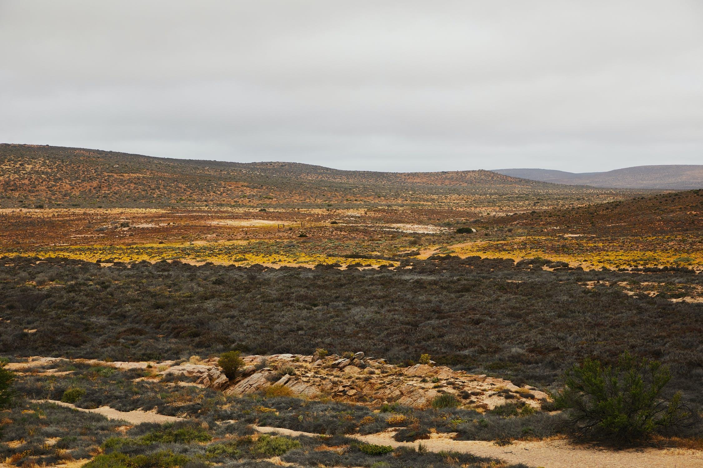 Postdoctoral Scientist Position at the Landscape Evolution Observatory