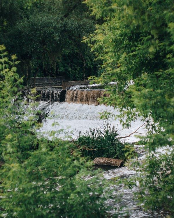 Announcing the 2022 Fellows of the National Water Center Innovators Program Summer Institute